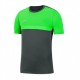 NIKE SS ACADEMY 20 TOP ANTRACITE/GREEN